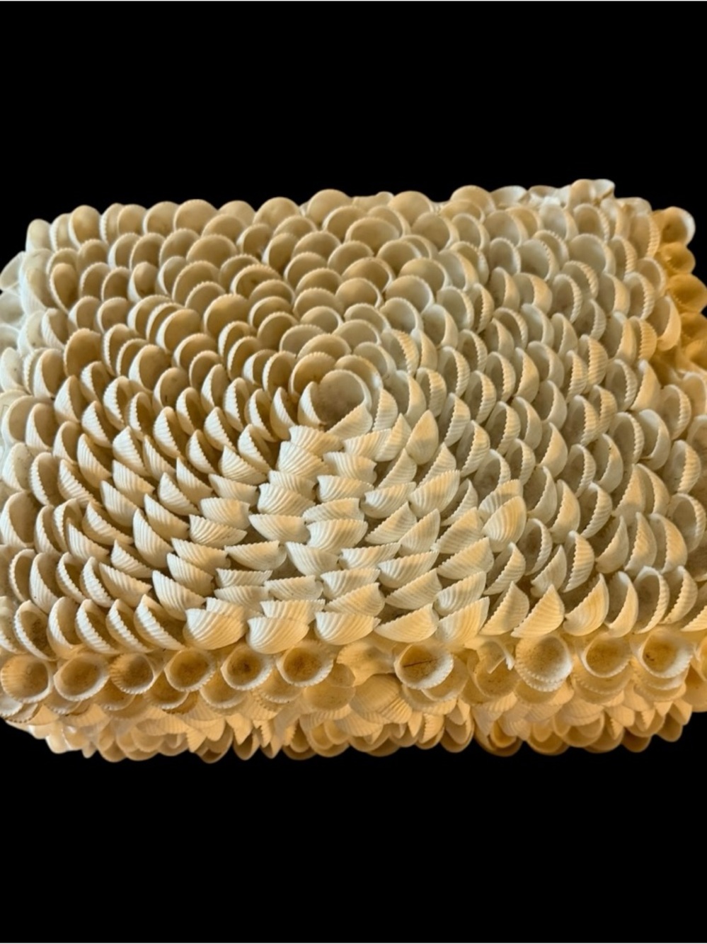 Handmade Vintage Shell Art Box